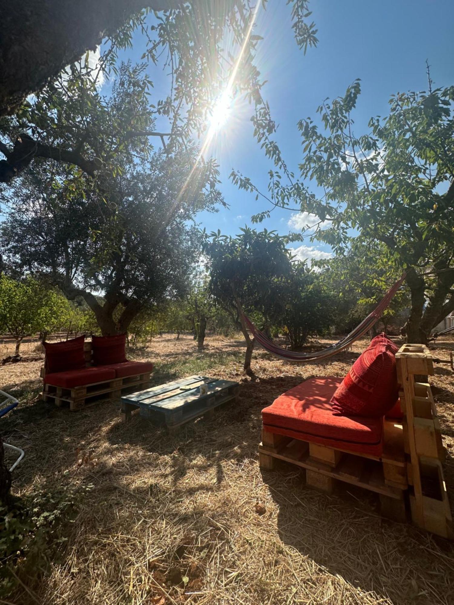 B&B Villa Tiziana Monopoli Extérieur photo